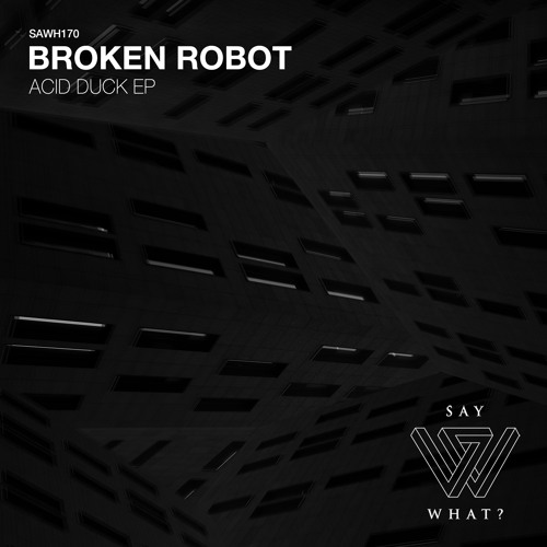 Broken Robot - Soulmate