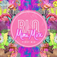 Robyn L-Q: House Mini Mix