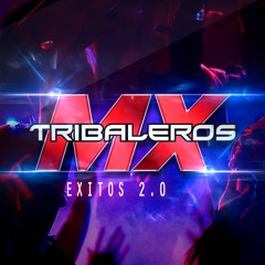 YO SI TE QUIERO QUERER-Tribaleros MX Ft Sticker