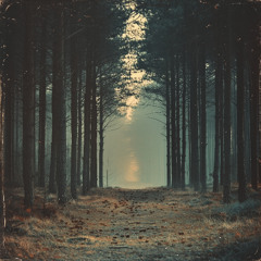 where the stars don't judge