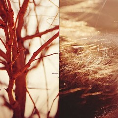 out there beyond here [catalog]