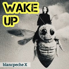 Wake Up