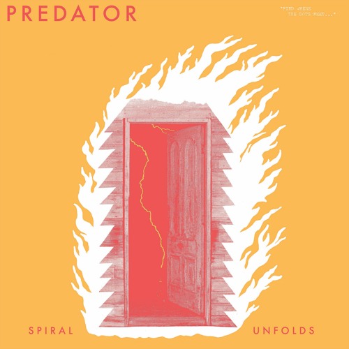 PREDATOR -  RIPPED JEANS