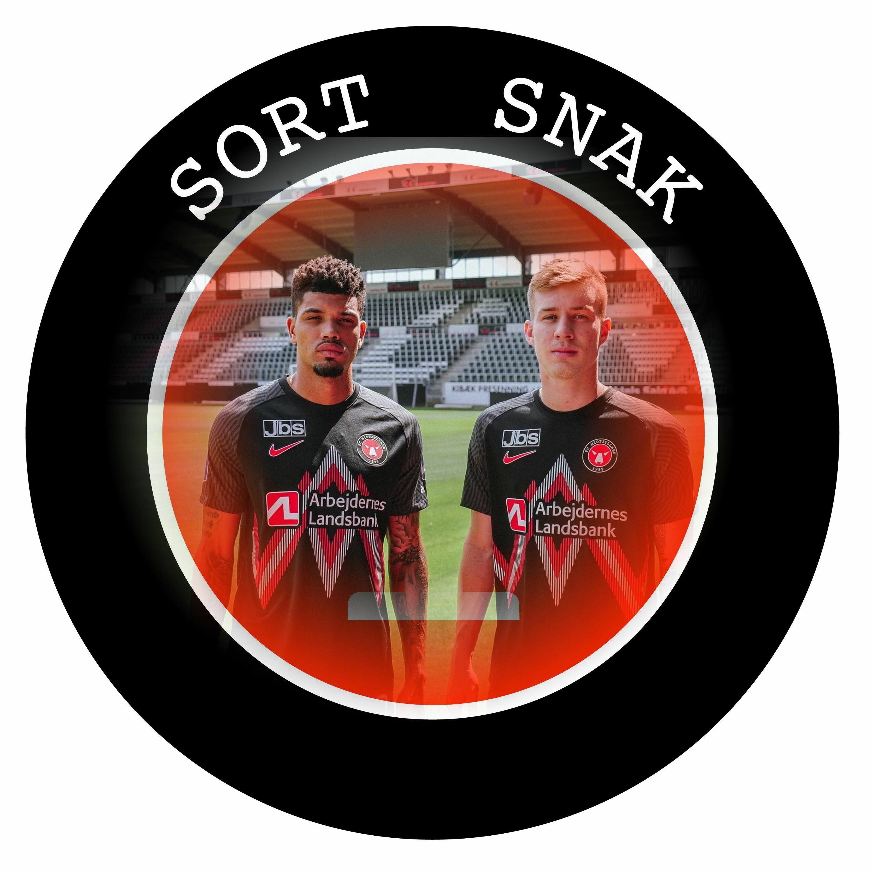 Sort Snak
