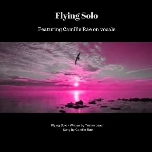 Stream Flying Solo by Tristyn Listen online for free on SoundCloud