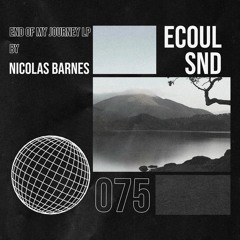 PREMIERE: Nicolas Barnes - Some Day Ill Be Back