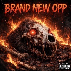 FlyLyfe- Brand New Opp.mp3