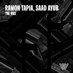 PREMIERE: Ramon Tapia, Saad Ayub  - The Vibe  [Say What?]
