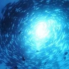 止まれない ft.Kiruha