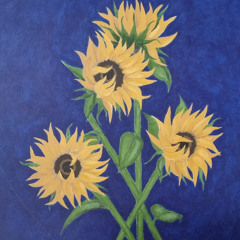 The Last Picture Show