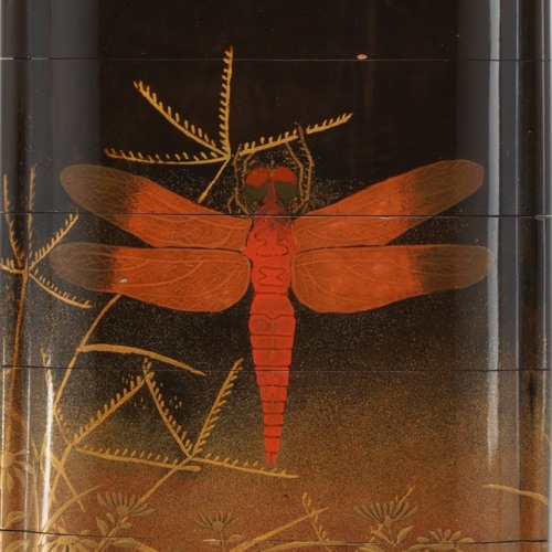 Red Dragonfly
