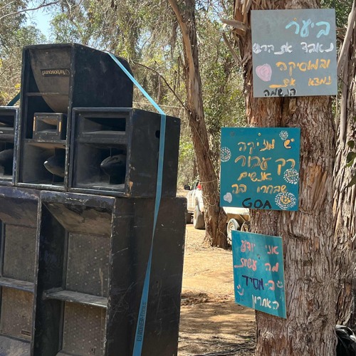 Old School Vibes - Roots To Rave