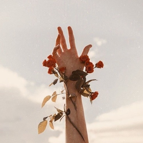 keep me 2024 (final version)