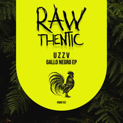 Gallo Negro (Extended Mix) [feat. P4]