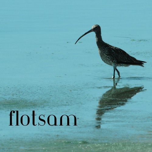 Flotsam - Demo