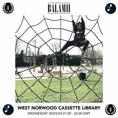 West Norwood Cassette Library - March 2024