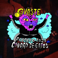 🐈‍⬛ FEBRERO 2023 🐈‍⬛ REGGEATON EN CIUDAD DE GATOS