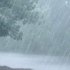 Everything Changes (when It Rains)