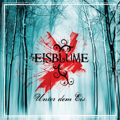 Eisblumen (Radio Mix)