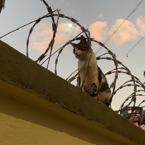 [AUTOTUNE OFF] 02 ANDAS NO VALE DA MORTE