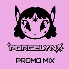 Porcelyn Promo Mix