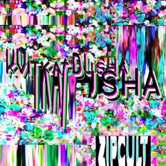 KVITKA_DUSHA (Ніна Матвієнко Remix)