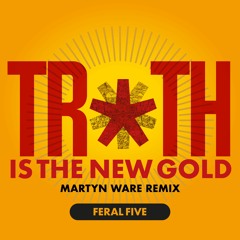 Feral Five - Truth Is The New Gold - Martyn Ware Remix