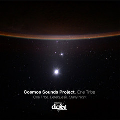 Cosmos Sounds Project - One Tribe {Original Mix} Stripped Digital