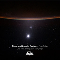 Cosmos Sounds Project - One Tribe {Original Mix} Stripped Digital