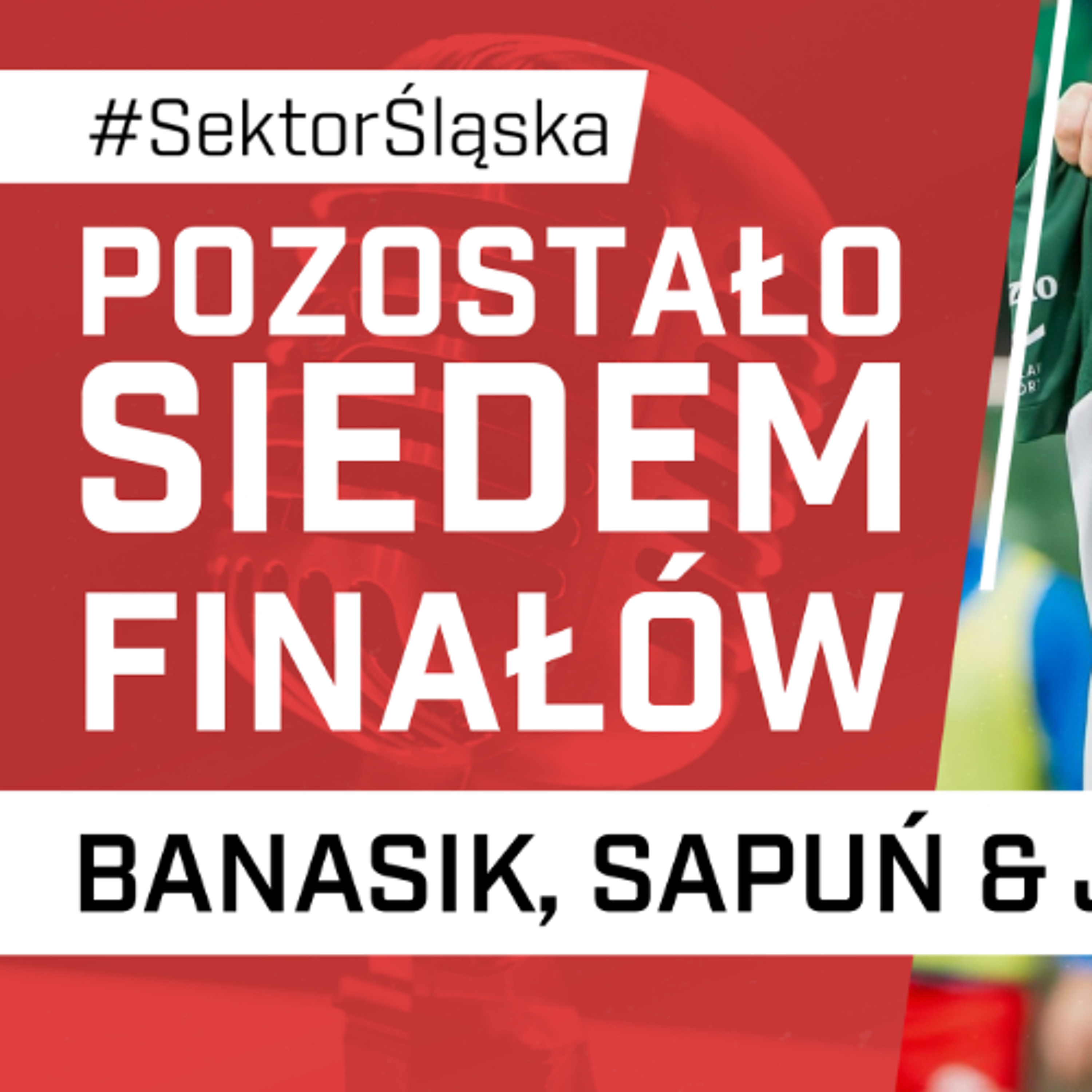 Śląsknet