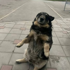 ТИШЕ (не реклама кракена клянусь)