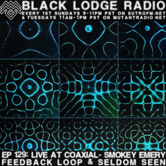 BL Radio EP 129: SMOKEY EMERY/FEEDBACK LOOP/SELDOM SEEN [Live @Coaxial Arts 4/26/25]