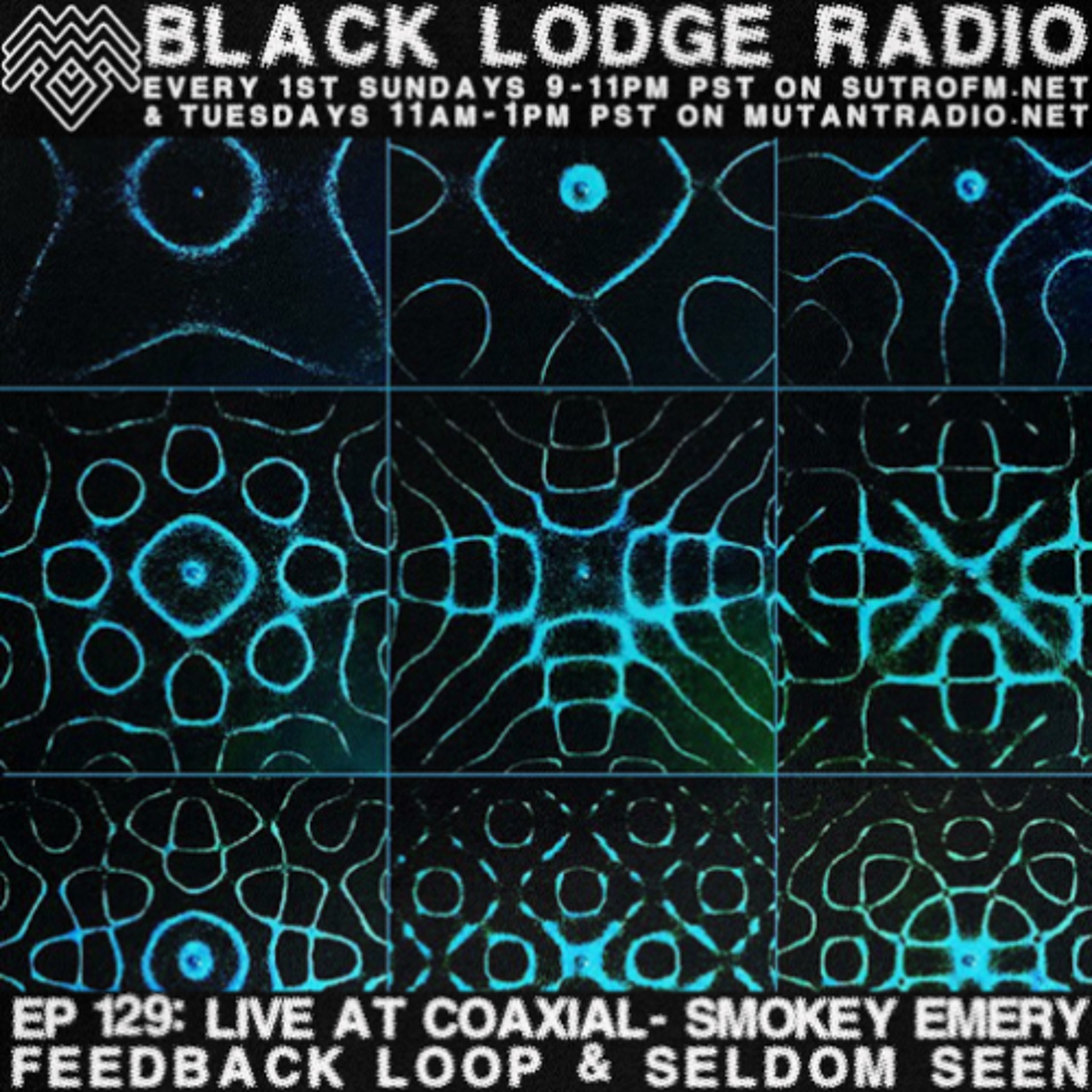 BL Radio EP 129: SMOKEY EMERY/FEEDBACK LOOP/SELDOM SEEN [Live @Coaxial Arts 4/26/25] episode artwork