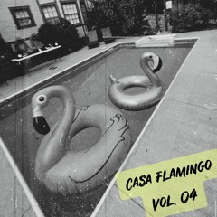 Casa Flamingo Vol. 04