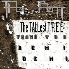 THE TALLest TREE