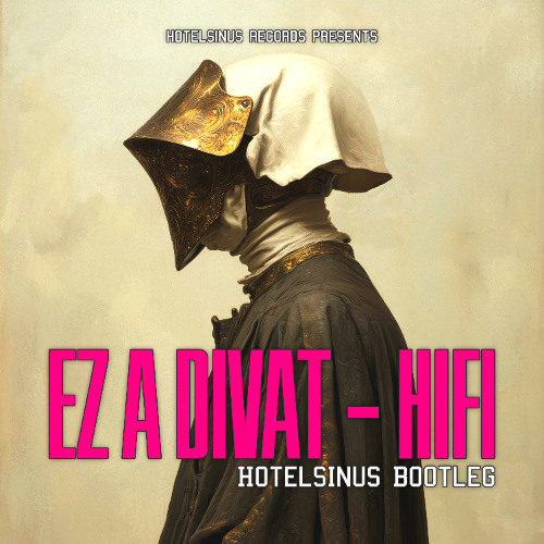 Ez a Divat - Hi fi (Hotelsinus Bootleg ver B)