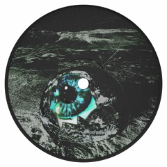 Premiere: Huxley - Nothing Works [Shall Not Fade]