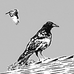 Charred Twin Souls of The Ravens