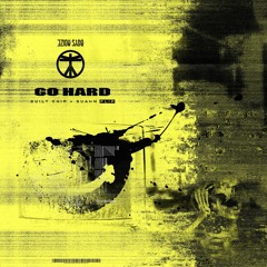 Boys Noize - Go Hard (Guilt Chip & SUAHN Flip)