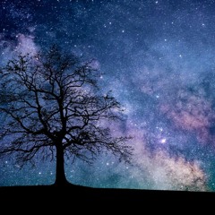 Stars of Cape Juby