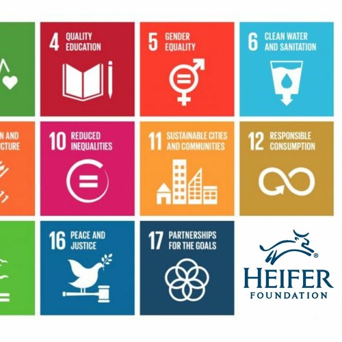 "Charity" Meets UN's Sustainable Development Goals