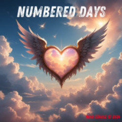 Numbered Days