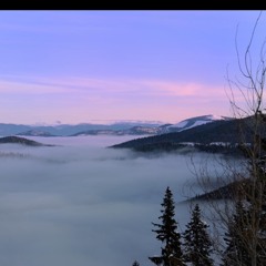 ambient trap transitions prod.7th