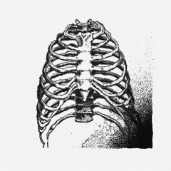 RIBCAGE (feat. PROPHET)