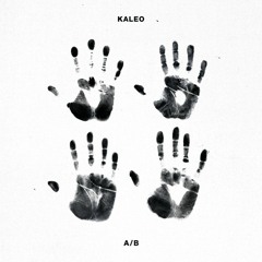 Kaleo - Vor í Vaglaskógi (cover by Hjjæmðr)