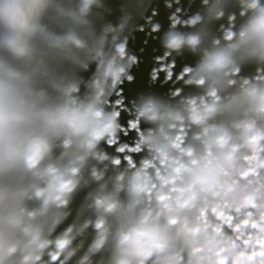 Staub_005 -- A2