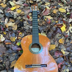 Captain Of Our Salvation