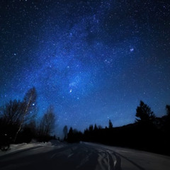 Wonderful Night