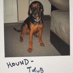 HOUND