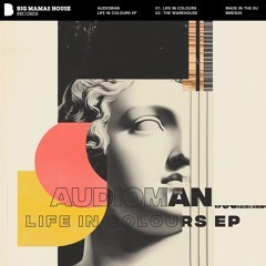 AudioMan - Life In Colours